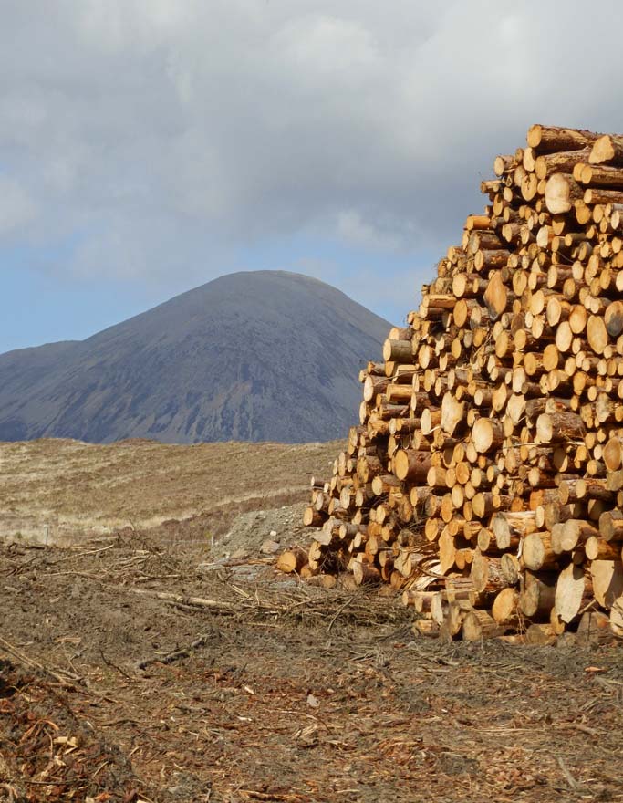 Log stack - Isle of Skye, Scotland